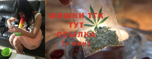 ГАЛЛЮЦИНОГЕННЫЕ ГРИБЫ Абаза