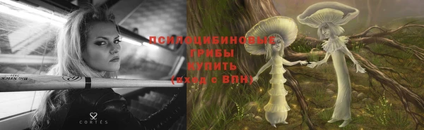 дживик Пестово