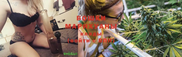 ГАЛЛЮЦИНОГЕННЫЕ ГРИБЫ Абаза