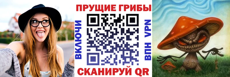 Псилоцибиновые грибы ЛСД  маркетплейс телеграм  Новоалтайск  гидра зеркало 